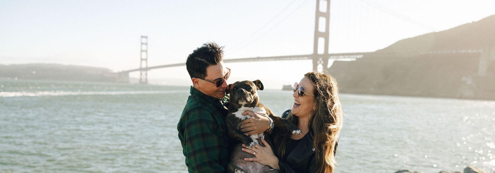 856d77a3-5cc3-4f56-a89e-11fd668865cb