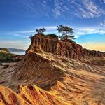 Torrey Pines State Reserve