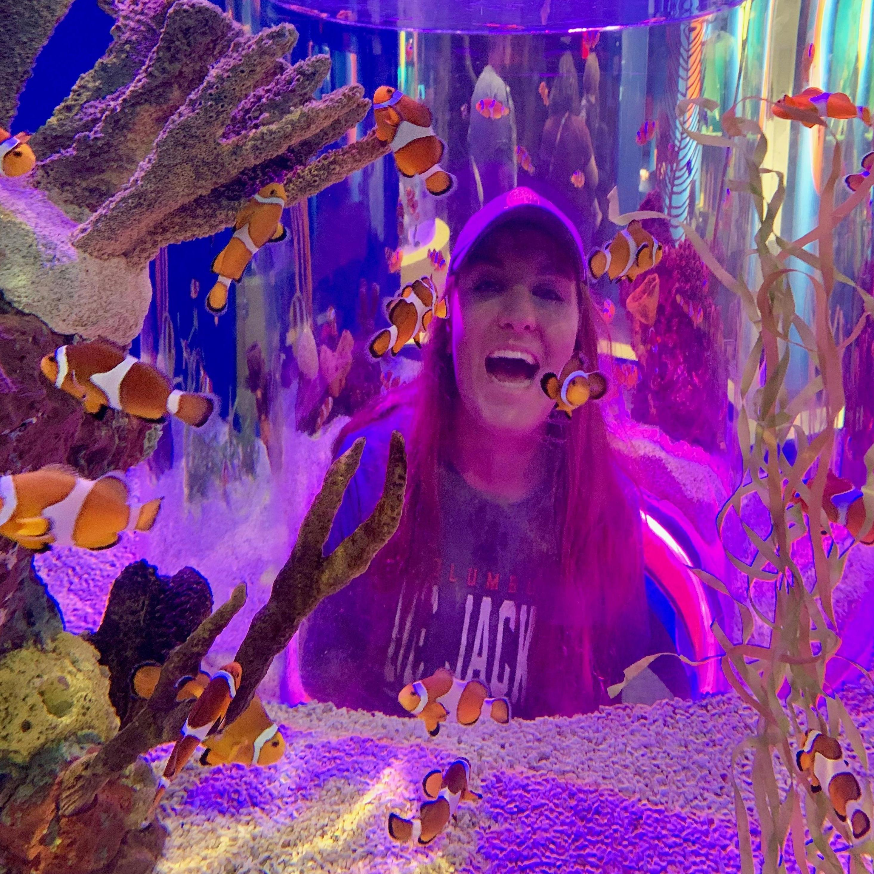 Trying to find Nemo at the Ripley's Aquarium in Gatlinburg