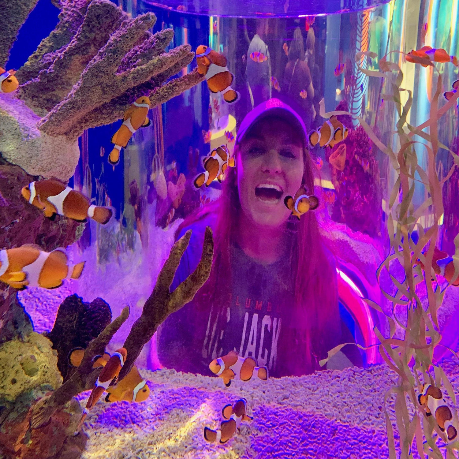 Trying to find Nemo at the Ripley's Aquarium in Gatlinburg