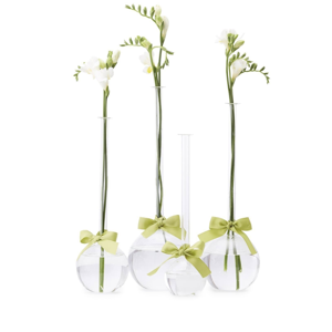 Sleek + Chic Hand Blown Glass Bulb Vase w/Green Ribbon Assorted Styles | 12-15in