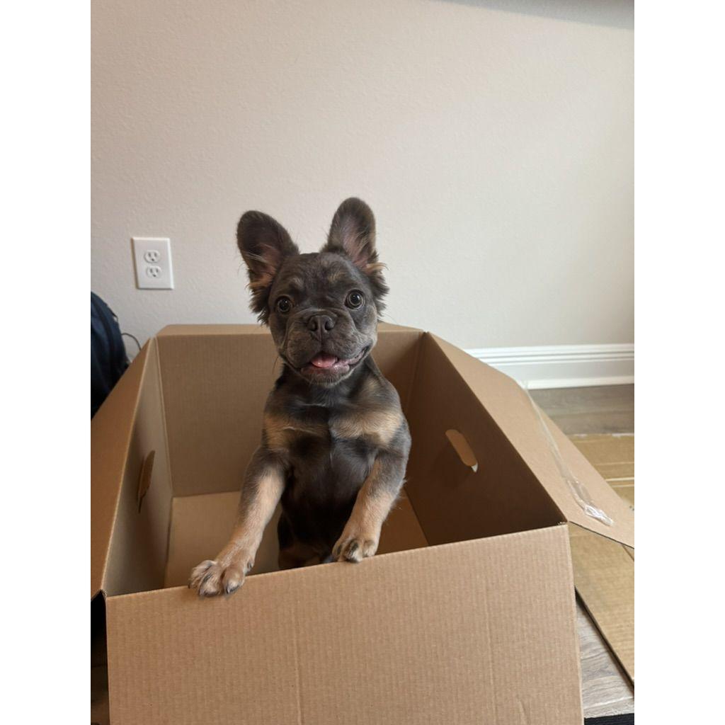 9/26/24 Our special helper!