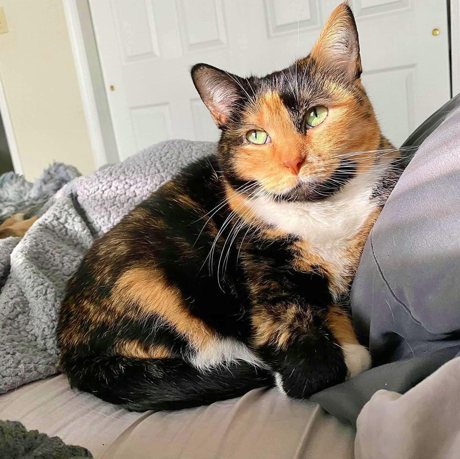 Lucy