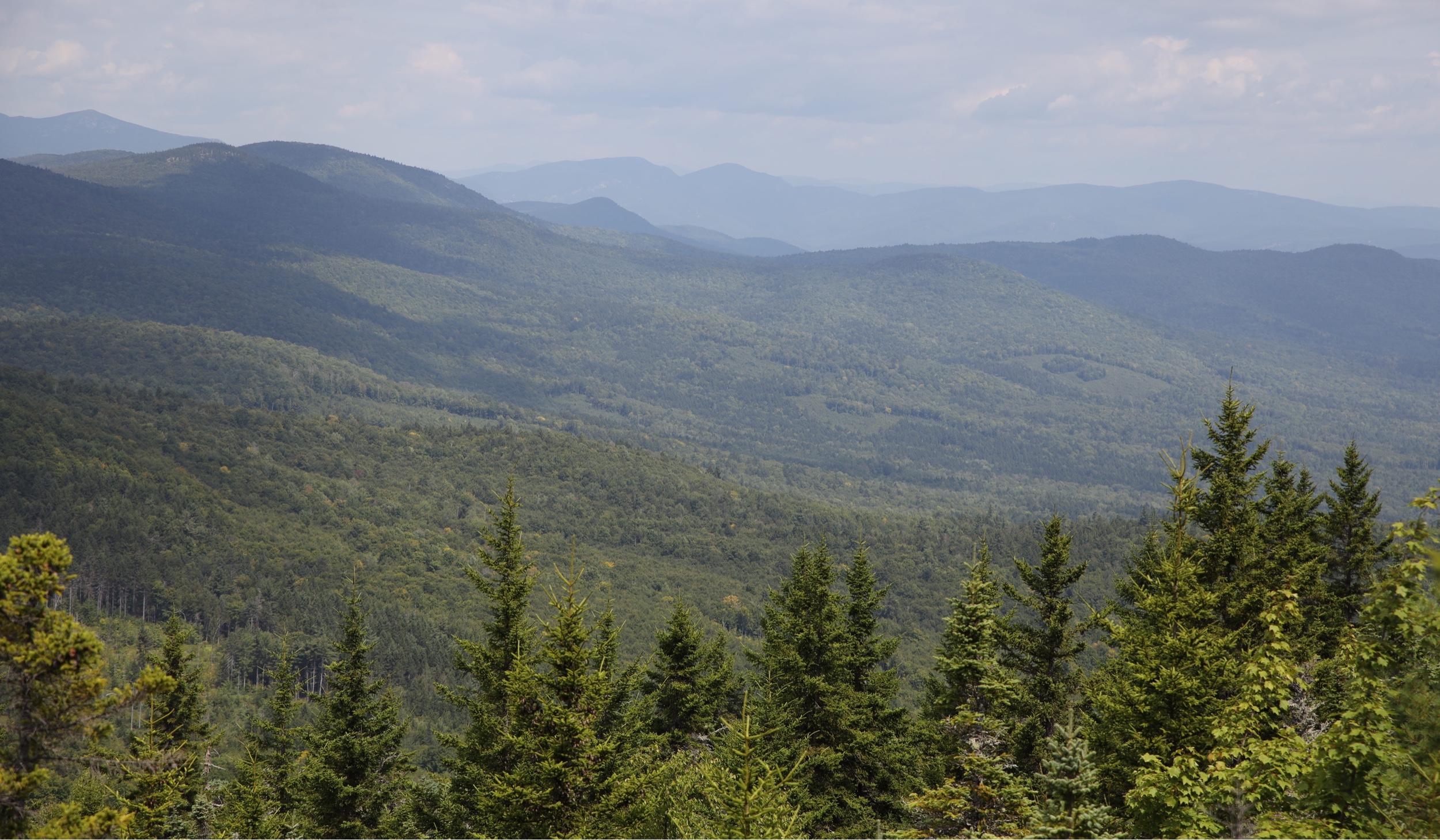 The Wedding Website of Lauren Woodworth and Edward Corkery