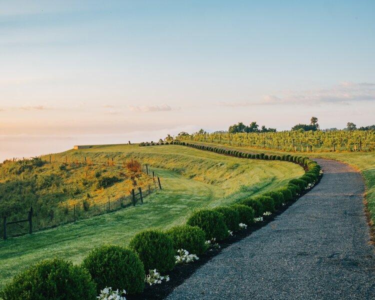 The Wedding Website of meagan lombardi and joe simpson