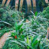 Monteverde Butterfly Gardens