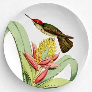 Green Backed Fire Crested Bird Plate, Melamine Plate, Vintage Bird Illustration, decorative plate, Dinner Plate, 10" plate, bird design