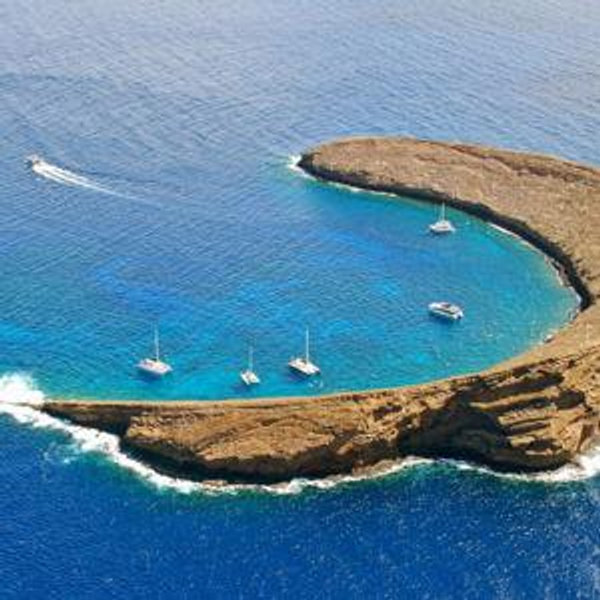 Honeymoon Excursion: Snorkeling at Molokini!!