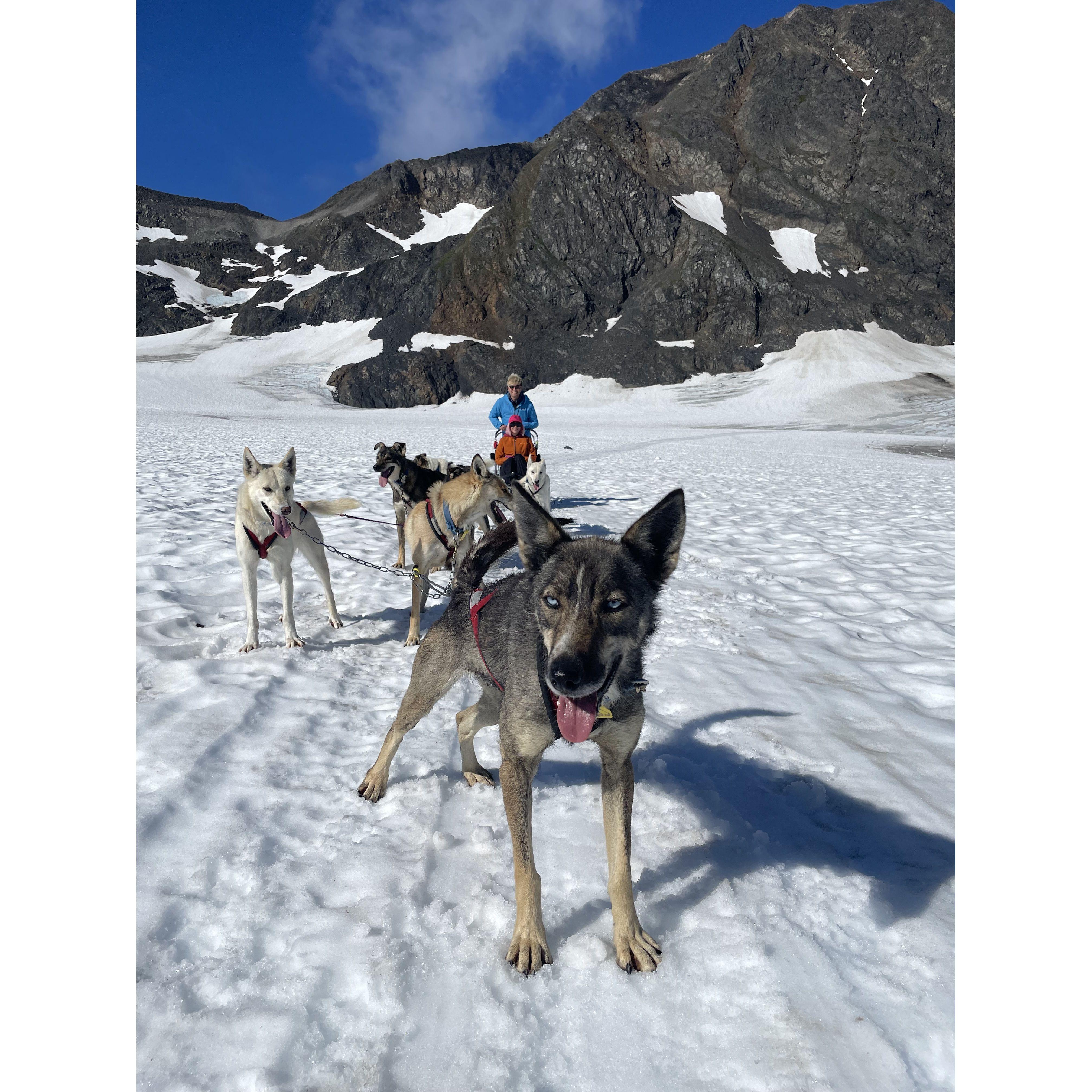 Dog Sledding in Alaska (2023)