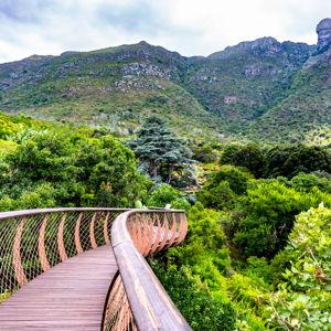 Botanical Gardens and Nighttime Concert in Capetown