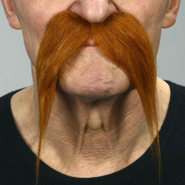 Um ano de bigode feito para o Daniel