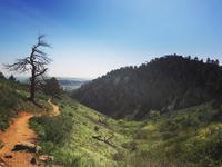 Mount Galbraith Park