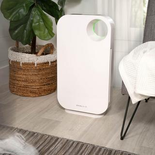 3-Stage H13 True HEPA 5-in-1 Air Purifier for Room