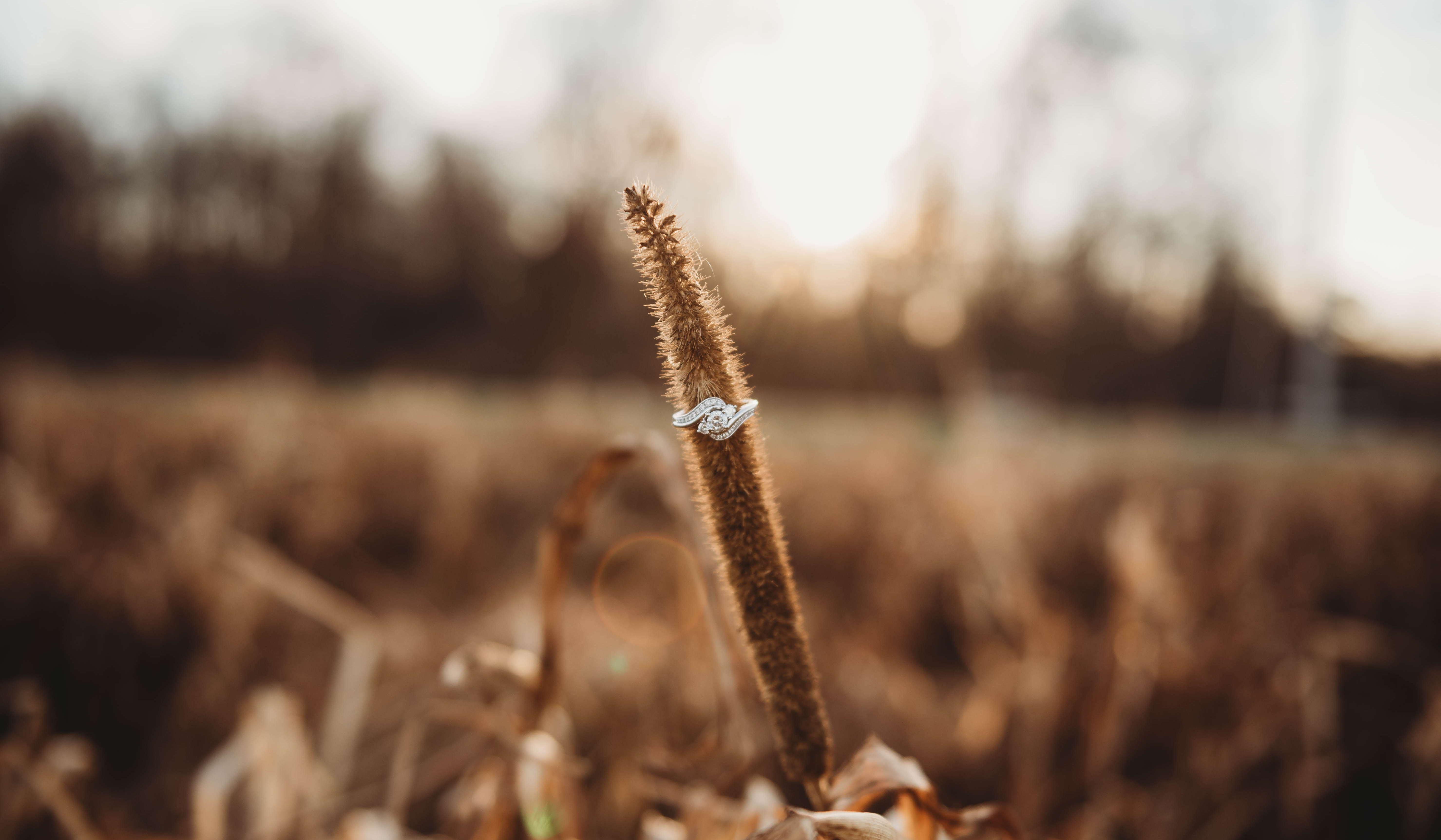 Footer image