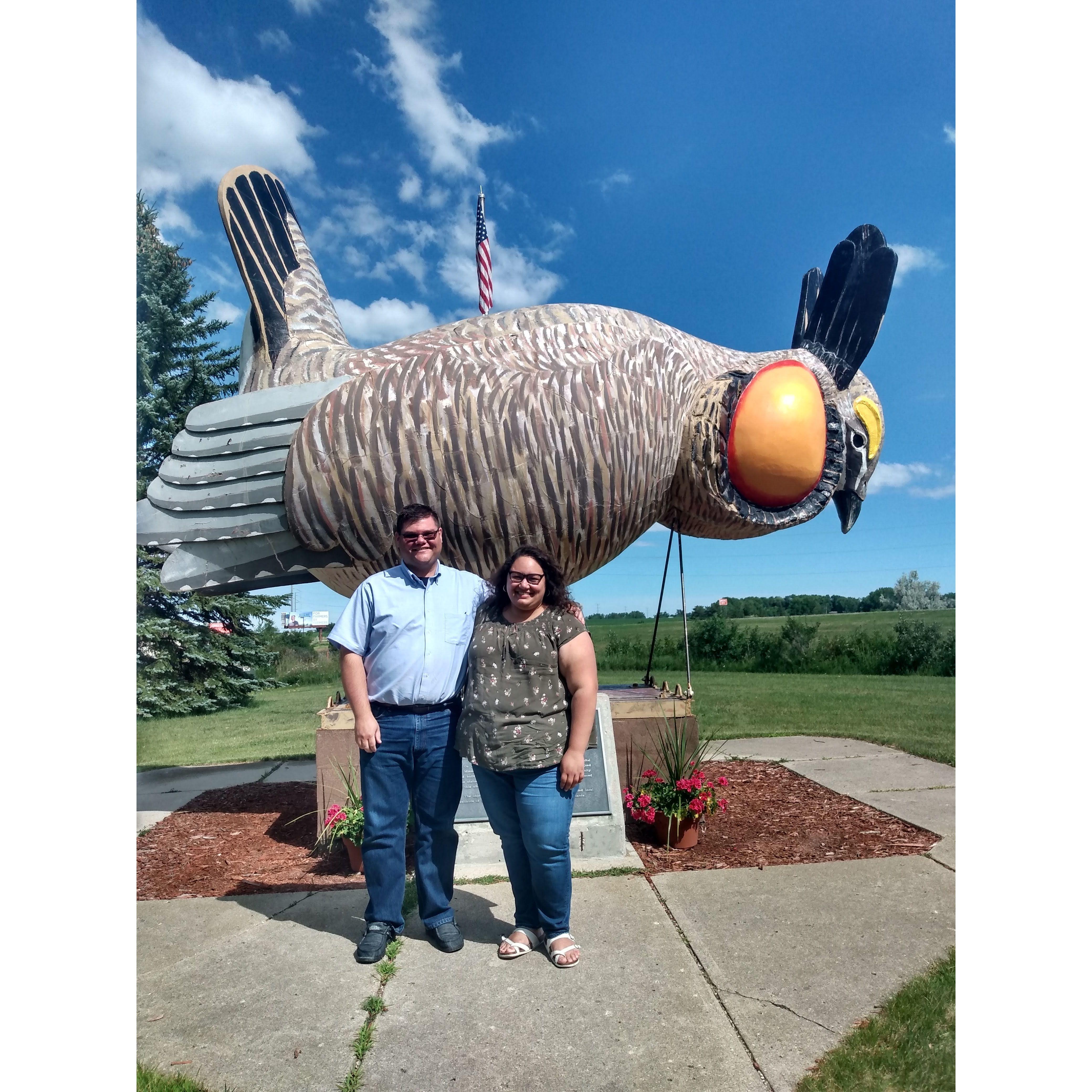 Prairie Chicken of MN