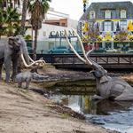 La Brea Tar Pits and Museum