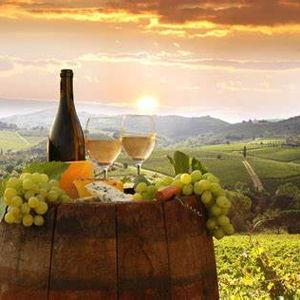Honeymoon - Tuscany Wine Tour