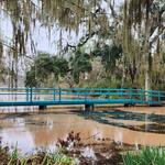 Magnolia Plantation and Gardens