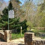 Coker Arboretum