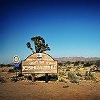 Joshua Tree Visitor's Guide