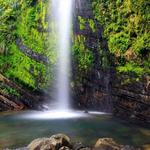 El Yunque Rain Forest