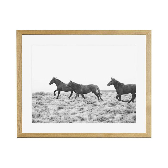 American Wild Horses By Jennifer Meyers, 20 x 16, Wood Gallery, Natural, Mat