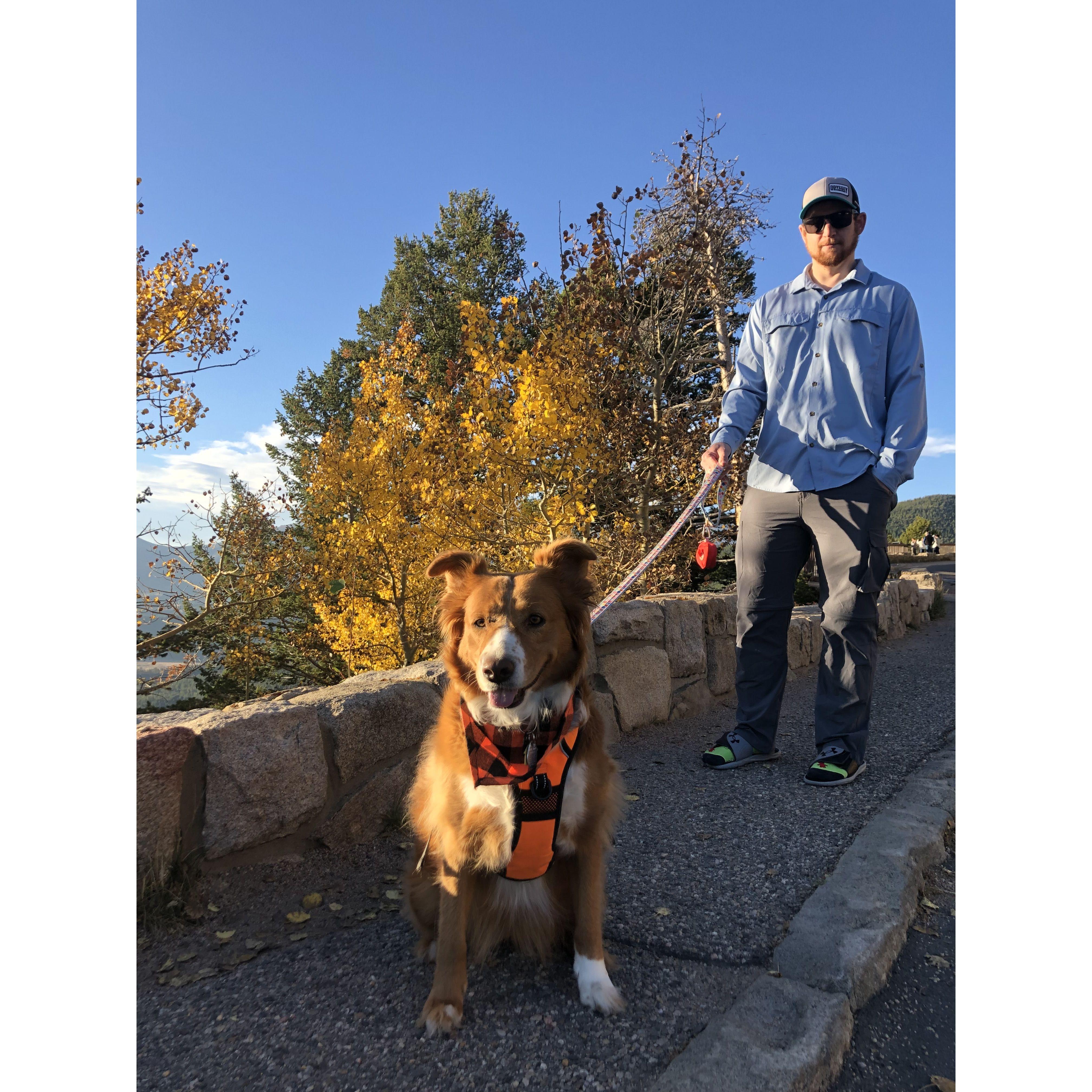 Leaf peeping in RMNP