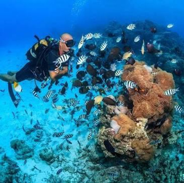 3 day scuba intensive in Mo'orea