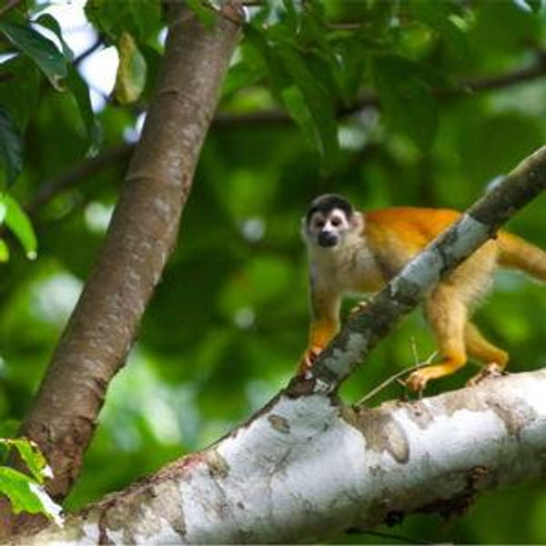 Wildlife Sanctuary Visit at Villas Alturas