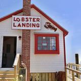 Lobster Landing