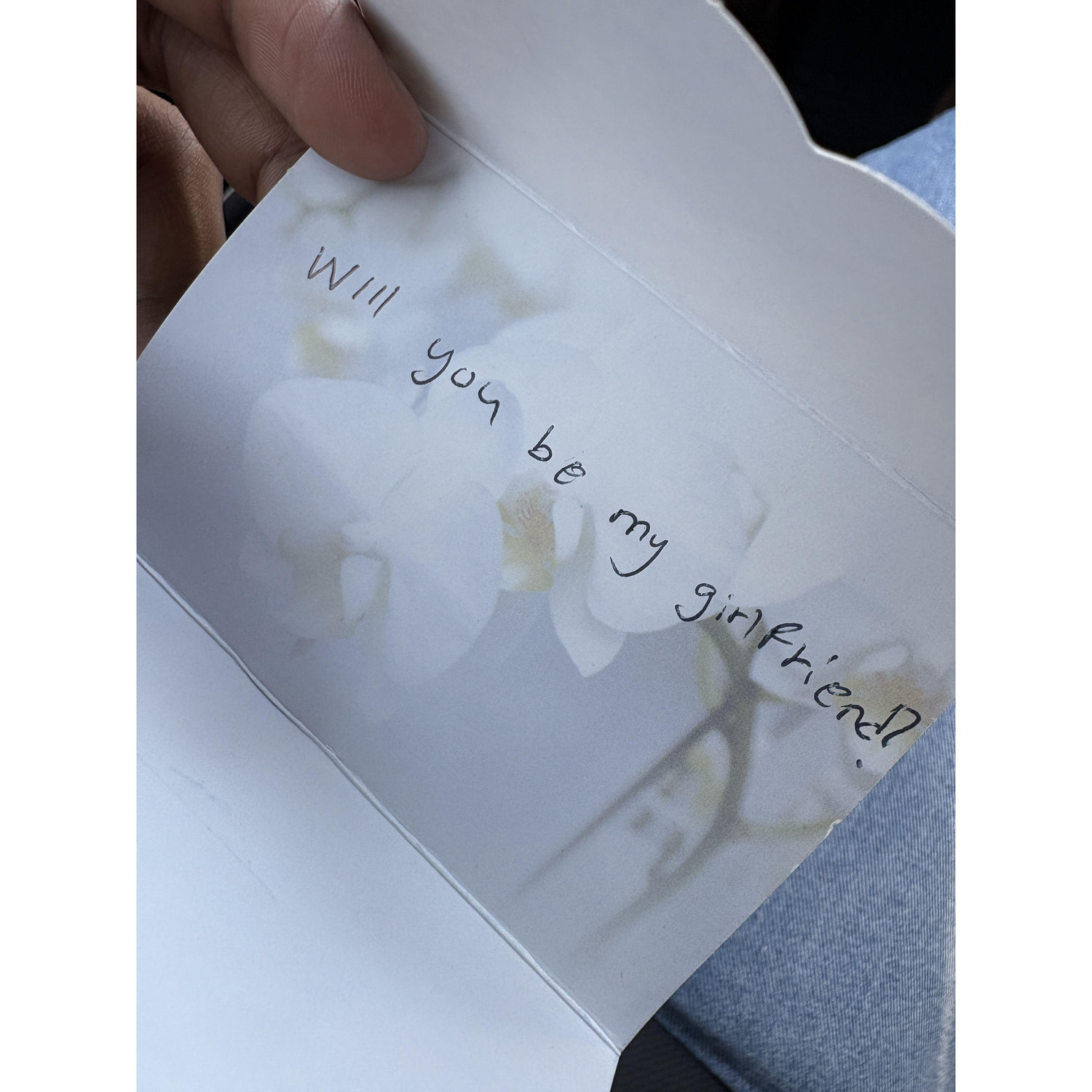 The girlfriend proposal