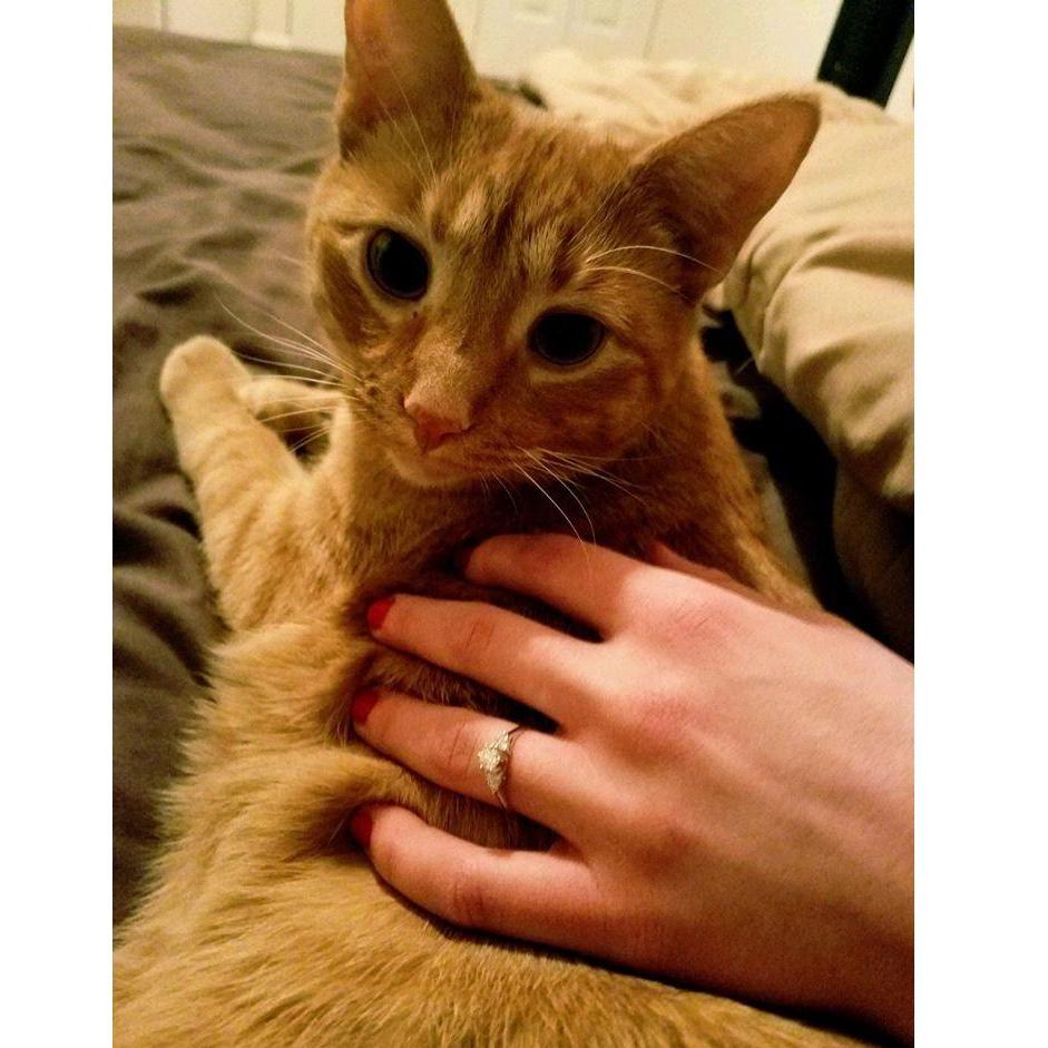 Kevin helping mom show off her engagement ring <3
