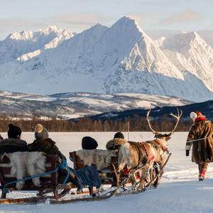 Reindeer Sledding Adventure