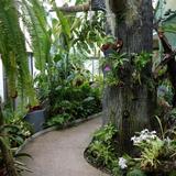 Krohn Conservatory