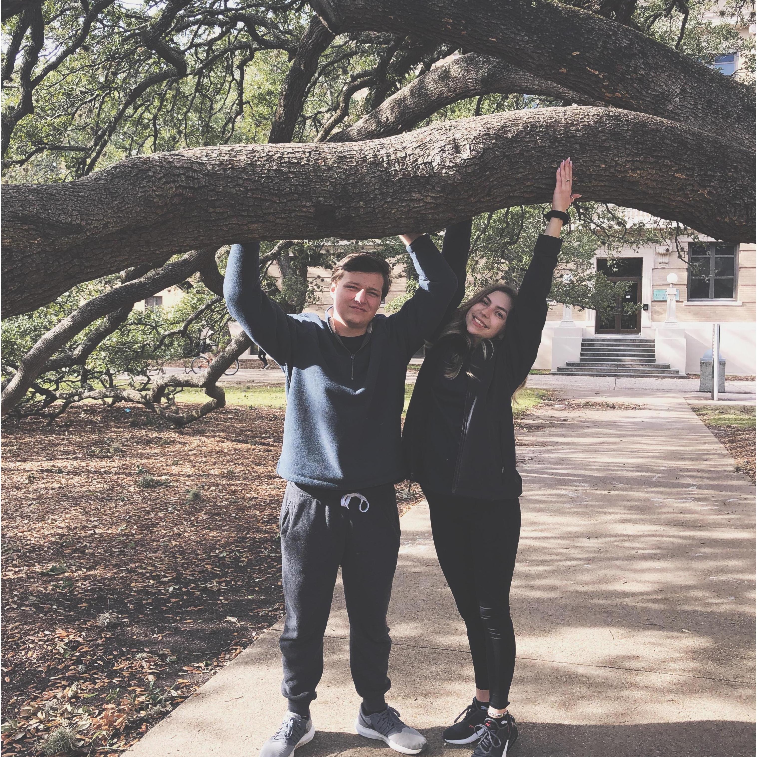 Century Tree-2019