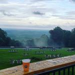 Local Breweries