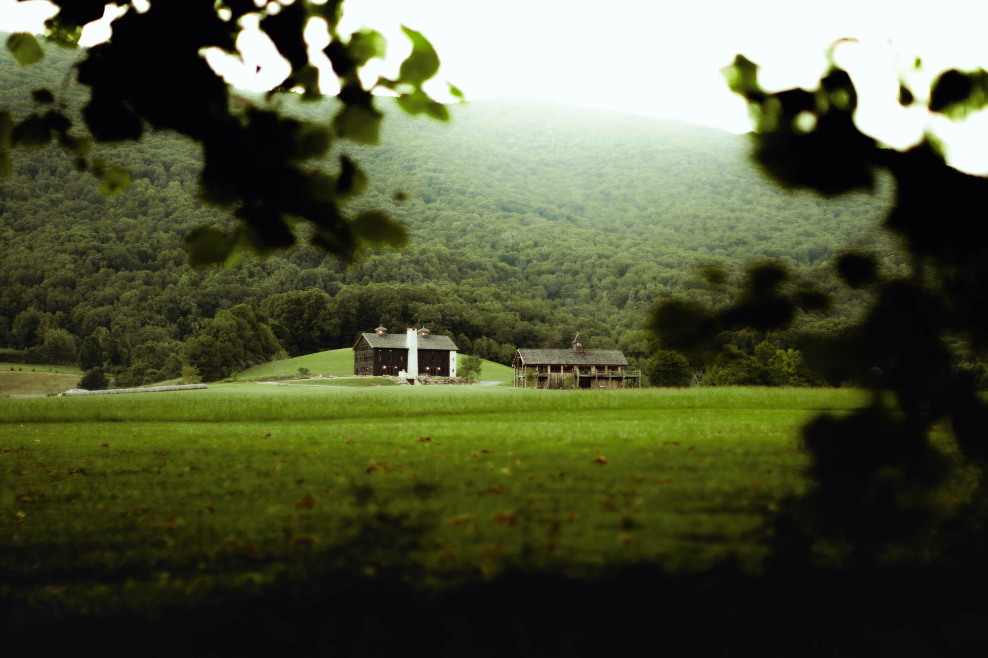 The Wedding Website of Alison Robertson and Alec Demeri
