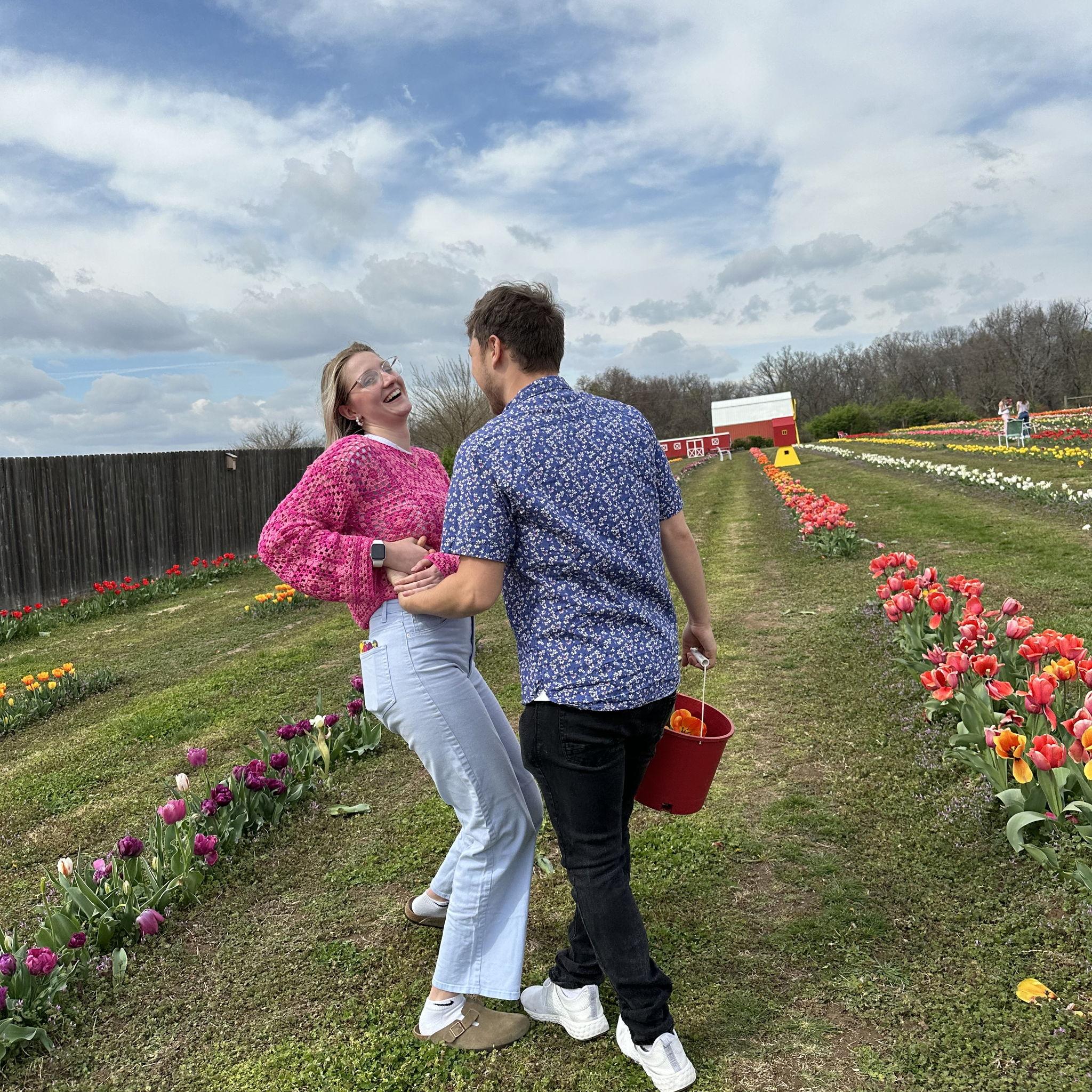Tulip Picking