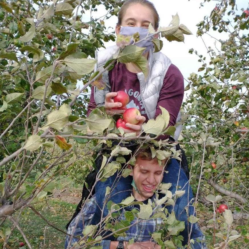 Picking apples