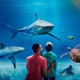 SEA LIFE Loch Lomond Aquarium