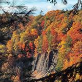 Whetstone Gulf State Park