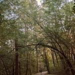 The Wilderness Center
