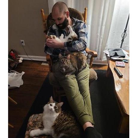 The cats!