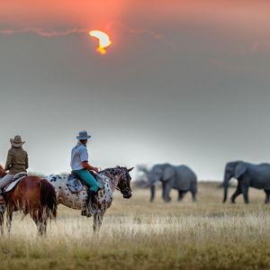 Riding Safari in the Makgadikgadi Salt Pans, Botswana