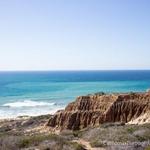 Torrey Pines State Reserve