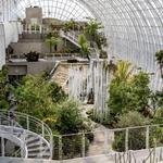 Myriad Botanical Gardens