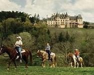 Horseback riding