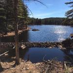 Horse Hill Nature Preserve
