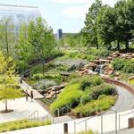 Myriad Botanical Gardens