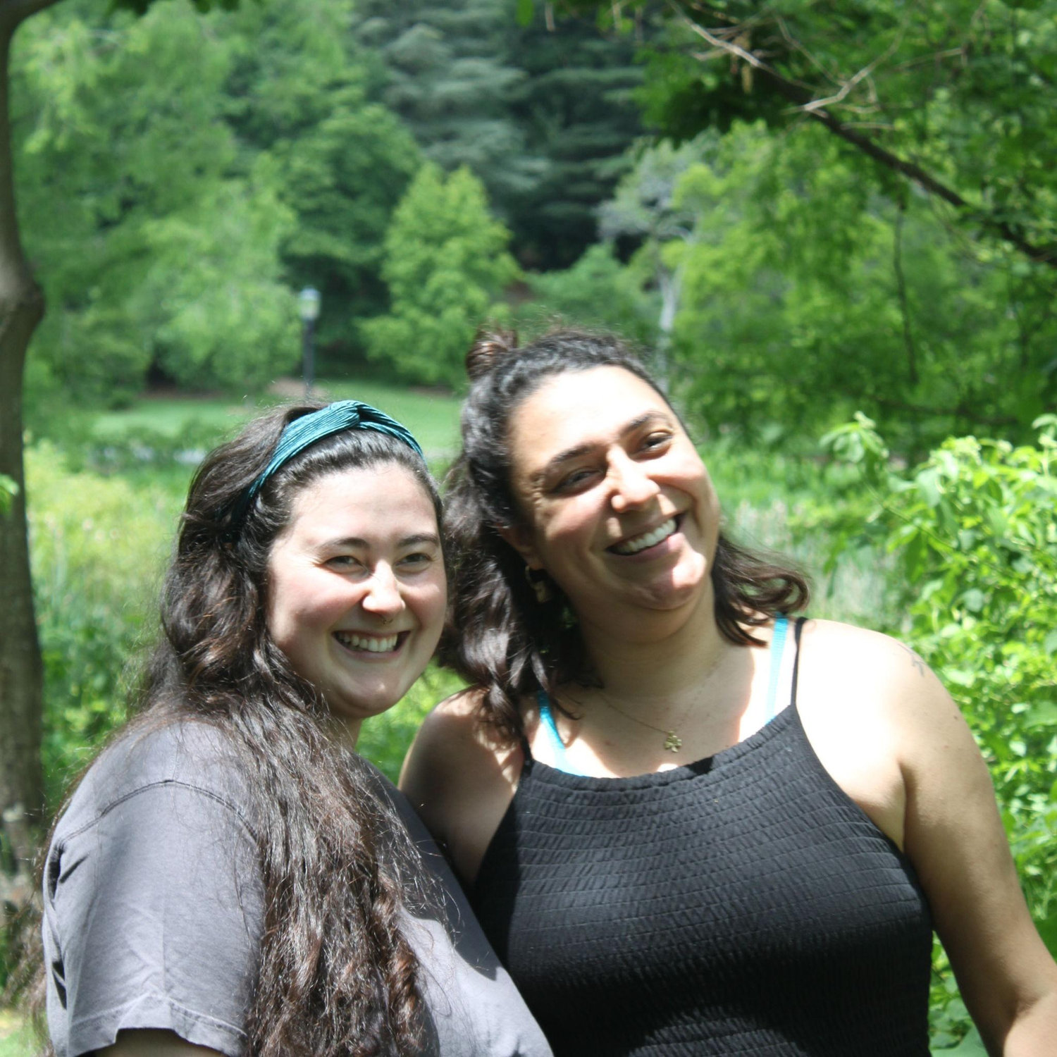 Arnold Arboretum in the Spring